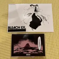 BLEACH WORLD 卍解 アクリルブロック　京楽　花天狂骨枯松心中 BLEACH WORLD 卍解 アクリルブロック 京楽 花天狂骨枯松心中