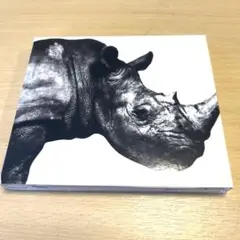 MR.CHILDREN 1992-1995