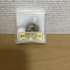 Item thumbnail for item b773e252-5ab7-425c-9a9a-d5b1b0167230