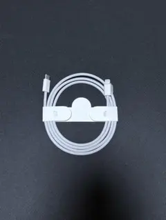 Apple純正　iPhone/iPad充電ケーブル