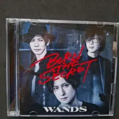 WANDS BURN THE SECRET CD(DVD付き)