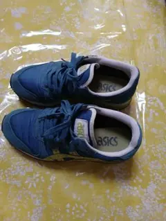 Item thumbnail for item 42251a67-7733-40c4-831e-ecdc0069f2b8