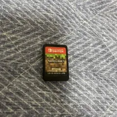 任天堂Switch Minecraft