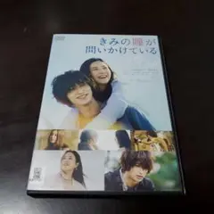 きみの瞳が問いかけているDVD