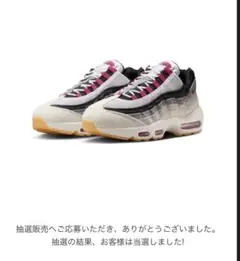 Nike Air Max 95 SB cactus flower 27.5