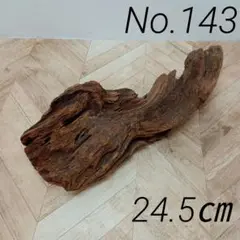 アク抜き済み流木【143】