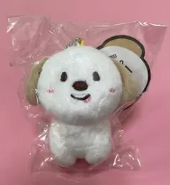 RIIZE アントン モンリョンイ 10cm ぬいぐるみ キーホルダー