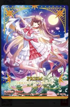 Z/X プリズムＰ（IGR）