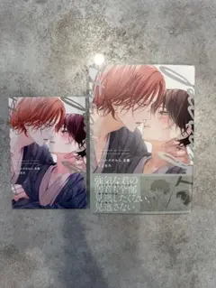 ピットスポルム5葉 (ポストカード付)未読品