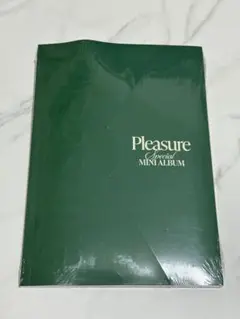 【未開封】TREASURE PLEASURE アルバムgreen ver.