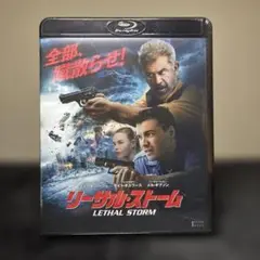【Blu-ray+DVD】 リーサル・ストーム('20米)〈2枚組〉