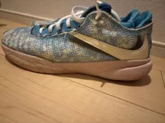 デビュー】Nike LeBron 20 | bbkicks-news
