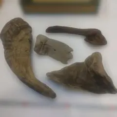 Item thumbnail for item fb752287-3336-4140-8e6e-cc231345ee64