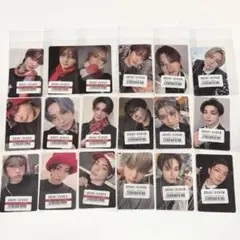 &TEAM 月狼 トレカ スプサ ユニバ コンプ 18枚セット