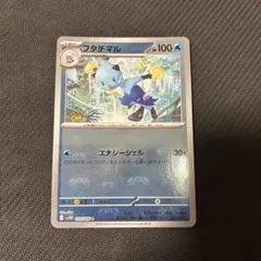 フタチマル　マスボ
