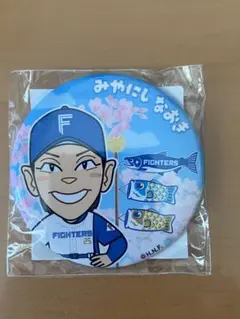 宮西尚生　缶バッジ　ガチャガチャ