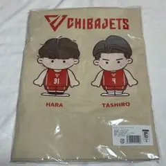 Item thumbnail for item b35a5ce3-5032-484e-86ea-517dd5c2ec6f