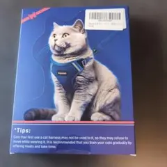 Item thumbnail for item 3fbacfeb-64b0-4274-b337-e545e584ed6c