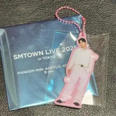 SMTOWN LIVE 2025 ランダムミニアクリルキーホルダー B ミンホ