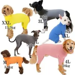 犬用防虫スキンタイツスーツ