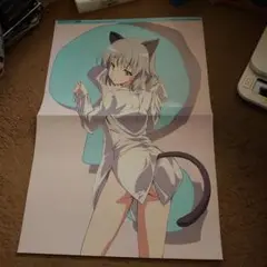 ストライクウィッチーズ　ポスター#DD　劇場版