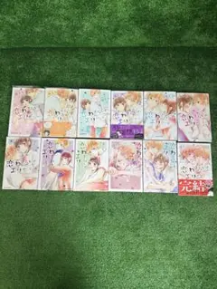 恋わずらいのエリー 全巻セット