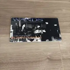WANDS 愛を語るより口づけをかわそう シングルCD