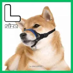 Item thumbnail for item 325915ca-09a5-48ae-be9c-a34ed4325615
