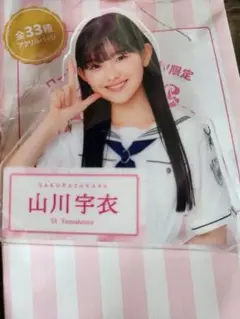 Item thumbnail for item 585b17ba-9d2f-434b-b5b1-76b22d783205