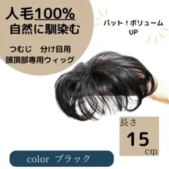 Item thumbnail for item 8ff1f6c6-71bb-42d9-9ae2-15d33c21c992