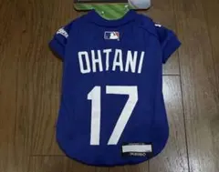 Item thumbnail for item 489f91b8-1136-4074-a58e-a94f7c5da924