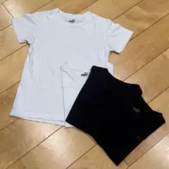 PUMA Tシャツ(肌着用可) 140㎝　4枚セット