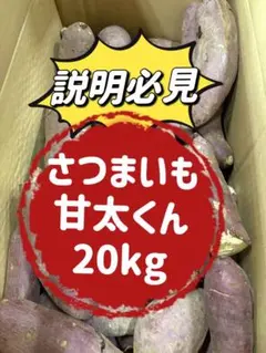 小さな小さな農家さん！大分県産　甘太くんA品Lサイズ10キロ 小さな小さな農家さん様専用！大分県産 甘太くんA品Lサイズ10キロ