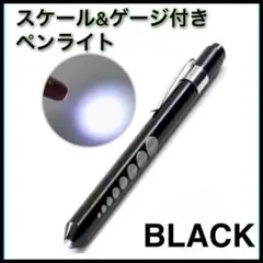 【ブラック】 ペンライト ナース ライト 医療 看護師 白色LEDライト