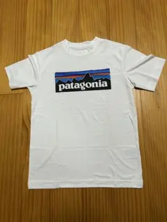 patagonia capilene ホワイト Tシャツ 新品