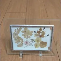 ‼️特別値下げ‼️絵画‼️押し花