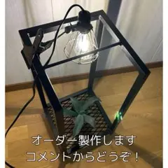 アイアンラック　植物棚　アガペ　ボタニカル　アガベ　フィギュアラック