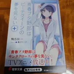 青ブタ　ビーチクイーンの夢を見ない　ポストカード　購入特典