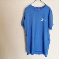 美品✨GILDAN 青Tシャツ 【S】バックプリントが可愛い❤️カニデザイン