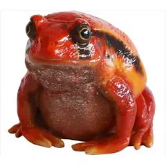 REPTILES MAG TOMATO FROG クリップがくっつくカエル