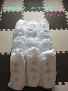 Item thumbnail for item 9ae20252-9235-47d9-a864-839f906ebb7e