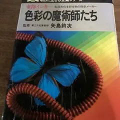 色彩の魔術師たち