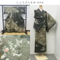 ヱビス■ しょうざん生紬 訪問着