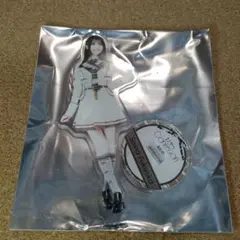 AKB48 福岡聖菜 アクリルスタンド