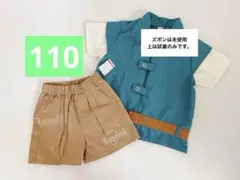 フリンライダー　110 リトシー