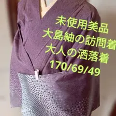 Item thumbnail for item 42c6b57e-4829-4f28-beb4-52ed9d74bf1f