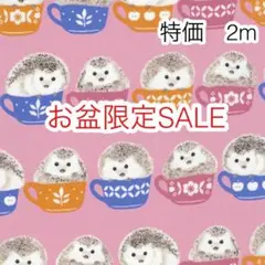 ラスト お盆限定SALE 2m ハリネズミ ピンク オックス