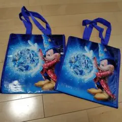 【新品】東京ディズニーランド　袋2枚