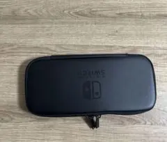 ニンテンドースイッチ　キャリングケース　画面保護シート付き