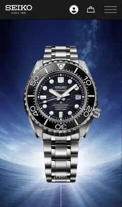 SEIKO SBDX067 60周年記念限定モデル